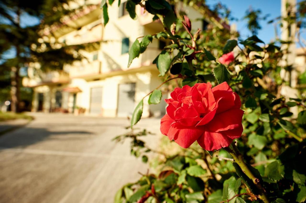 Bouganville House - Casa Vacanze Triparni Bagian luar foto